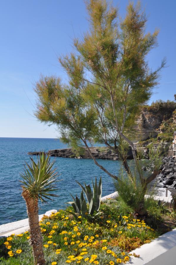 Bed and Breakfast La Citarea Forio di Ischia Exterior foto