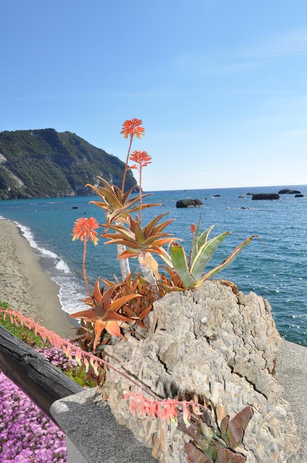 Bed and Breakfast La Citarea Forio di Ischia Exterior foto